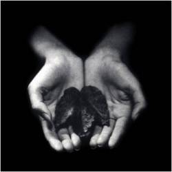 Renaissance (BEL) : The Death of Art